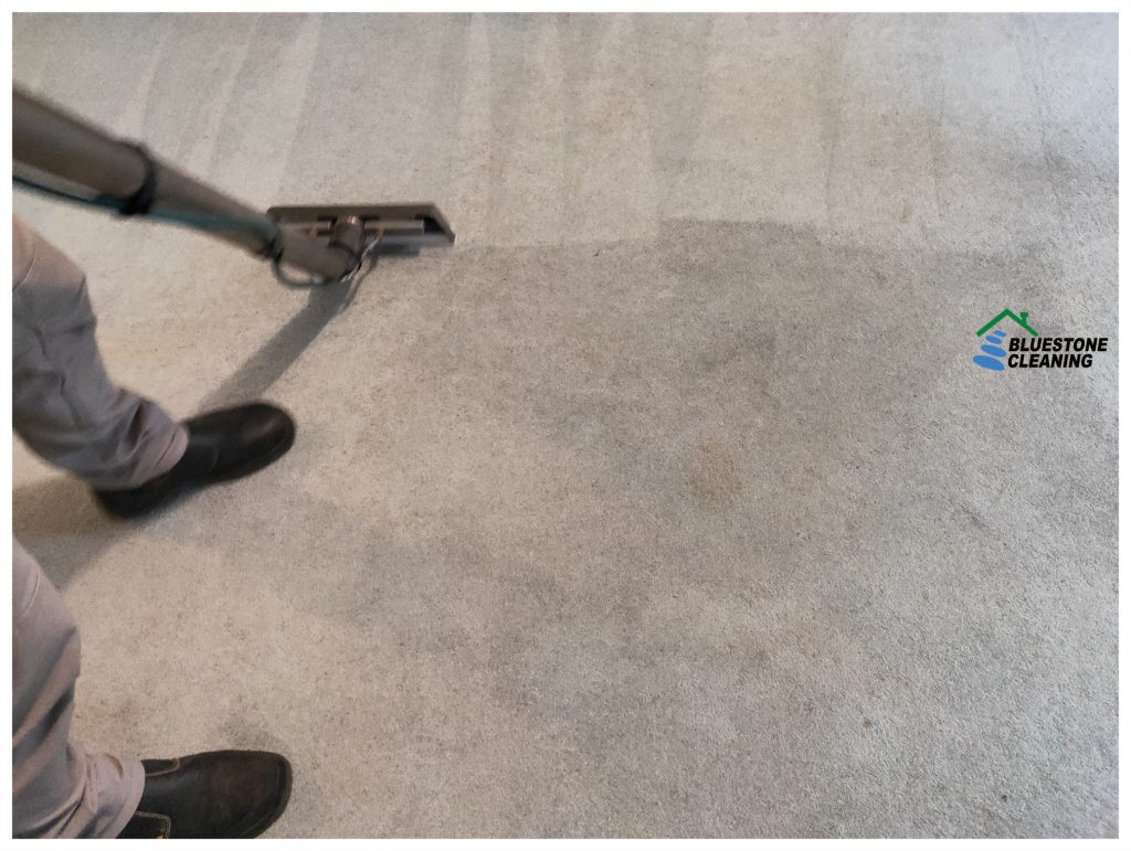 Carpet cleaning working photo-carpet-Steam clean a carpet