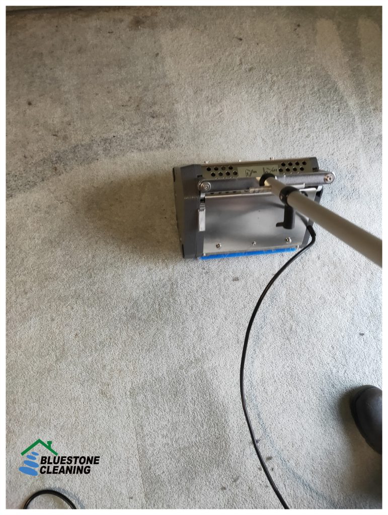 Carpet cleaning working photo-deep clean a carpet