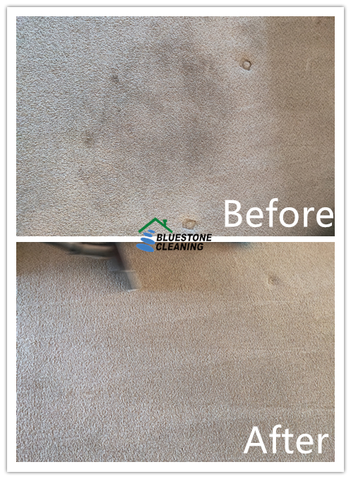 Carpet cleaning working photo